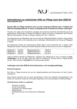 Infoblatt zur ambulanten Hilfe zur Pflege - Landkreis Neu-Ulm
