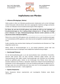 Impfschema von Pferden - Tierarzt