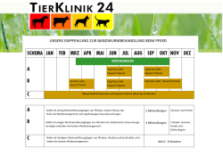 unsere empfehlung zur bandwurmbehandlung beim pferd