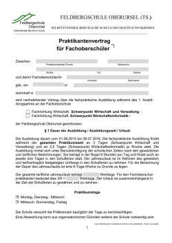 Praktikantenvertrag für Fachoberschüler