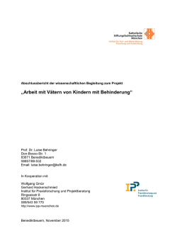 Bericht der wissenschaftlichen Begleitung zum Väterprojekt