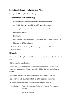 Vielfalt der Eukarya - Schwerpunkt Pilze 1. Vorkommen und