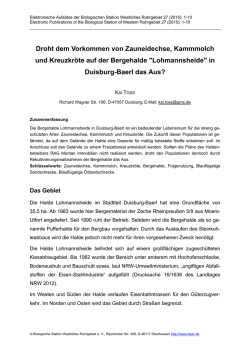 Droht dem Vorkommen von Zauneidechse, Kammmolch und