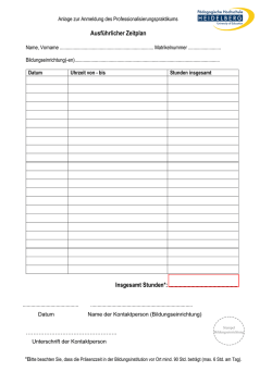 Ausführlicher Zeitplan Insgesamt Stunden