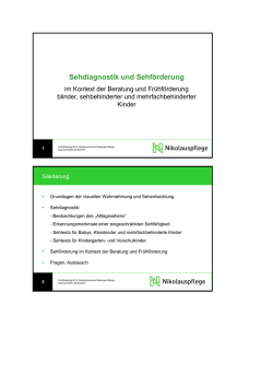 Sehdiagnostik und Sehf&ouml;rderung