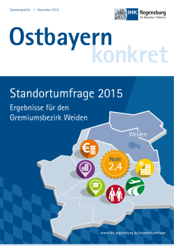 Standortumfrage 2015