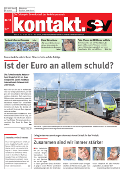 Ist der Euro an allem schuld?