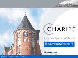 Projektanfrageportal 2.0 Mario Domhardt