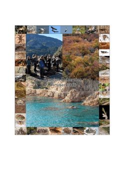 Bericht Grossexkursion Spanien 2015-Seb-MV