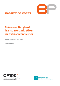 Gl&auml;serner Bergbau? Transparenzinitiativen im extraktiven Sektor