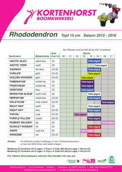 Rhododendron Topf 15 cm Saison 2015