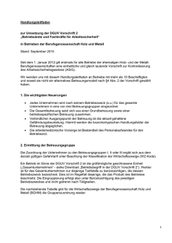 1 Handlungsleitfaden zur Umsetzung der DGUV Vorschrift 2