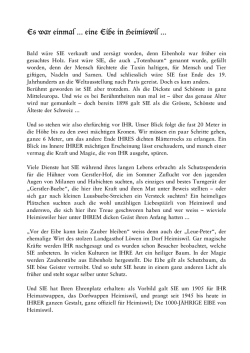 Es war einmal eine Eibe in Heimiswil