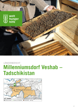 Millenniumsdorf Veshab – Tadschikistan