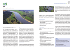 River Ecosystem Service Index