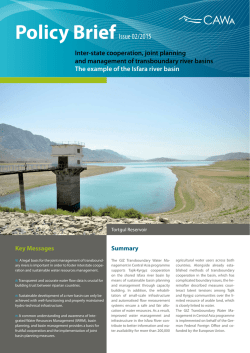 Inter-state cooperation and joint planning and