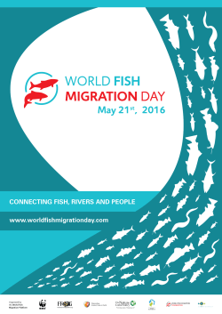 - World Fish Migration Day
