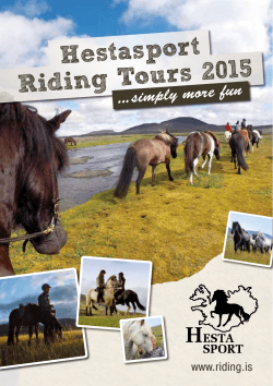 Hestasport Riding Tours 2015