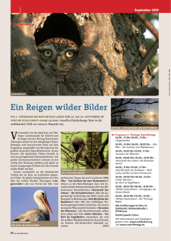 Ein Reigen wilder Bilder