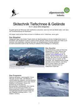 Skitechnik Tiefschnee & Gelände