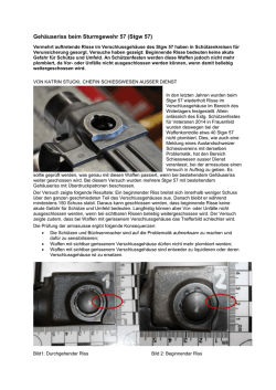 Geh&auml;useriss beim Sturmgewehr 57 (Stgw 57)