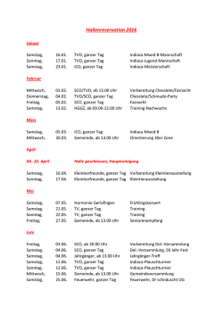 Hallenbelegungsplan 2016