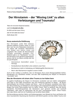 Der Hirnstamm – der "Missing Link" zu alten Verletzungen und