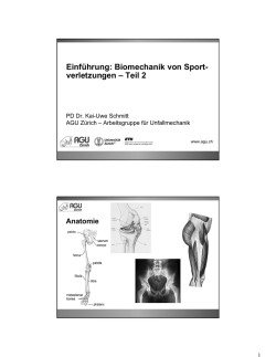 Einf&uuml;hrung: Biomechanik von Sport