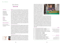 Eichelmann 2016 - Weingut Gies