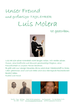 Luis Molera Luis Molera - Schule f&uuml;r Bewegungskunst