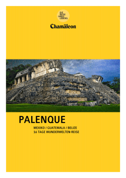 Reise als PDF