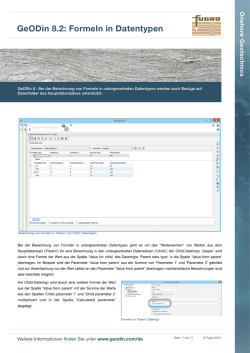 GeODin 8.2: Formeln in Datentypen