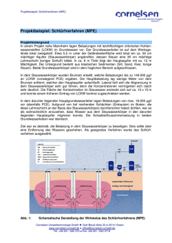 Projektbeispiel: Schlürfverfahren (MPE)