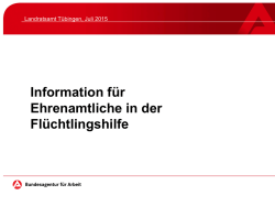 Information f&uuml;r Ehrenamtliche in der Fl&uuml;chtlingshilfe