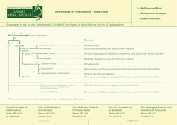 L-MS Interpretation Urin 2009