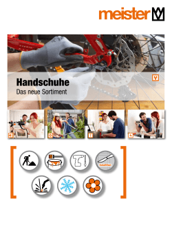 Handschuhe - Meister Werkzeuge