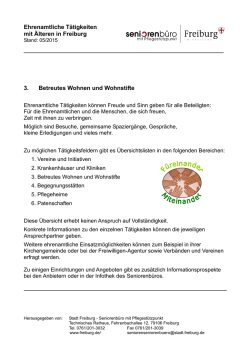 Ehrenamtliche T&auml;tigkeiten mit &Auml;lteren in Freiburg 3. Betreutes