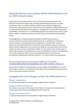 Hinweise zum Praxisbuch FEM mit ANSYS Workbench