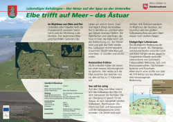 Im Rhythmus von Ebbe und Flut Unterelbe oder Tideelbe hei&szlig;t der