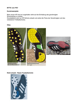 Eine kurze Info wegen dem Kunstrasen am PSV