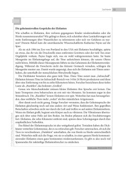 Die geheimnisvollen Gespräche der Elefanten Wie schaffen es