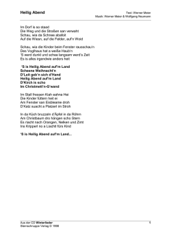 Heilig Abend - Sternschnuppe