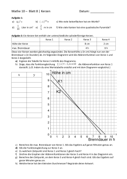 Mathe 10 – Blatt 8 | Kerzen Datum: x y
