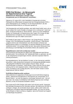 Im Strommarkt ist Opportunismus eine Tugend" (pdf, 148 KB