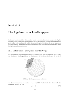 Lie-Algebren von Lie