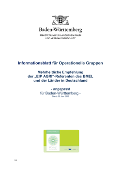 Informationsblatt fuer Operationelle Gruppen