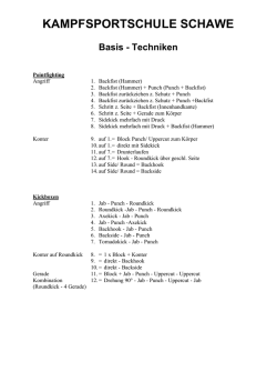 Basis Techniken Kick-Boxen (pdf-Datei, 33 kb) - KSS