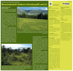 Moorlandschaft Habkern-Sörenberg/BE und LU