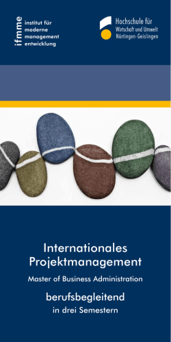 Internationales Projektmanagement