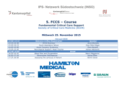 IPS- Netzwerk S&uuml;dostschweiz (INSO)